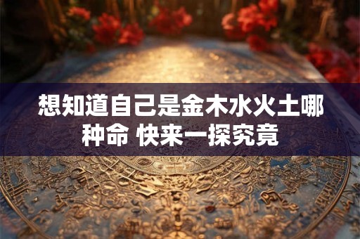 想知道自己是金木水火土哪种命 快来一探究竟