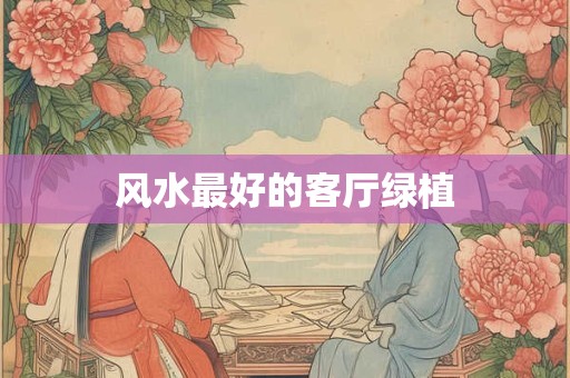 风水最好的客厅绿植