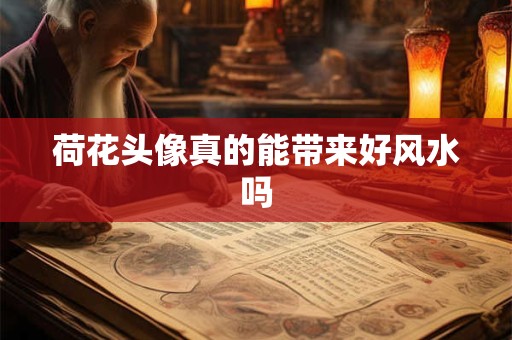 荷花头像真的能带来好风水吗