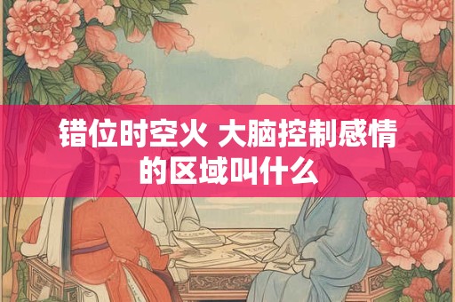 错位时空火 大脑控制感情的区域叫什么