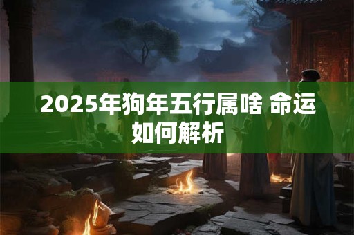2025年狗年五行属啥 命运如何解析