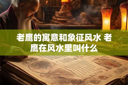 老鹰的寓意和象征风水 老鹰在风水里叫什么