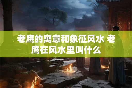 老鹰的寓意和象征风水 老鹰在风水里叫什么