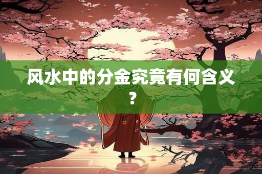 风水中的分金究竟有何含义？