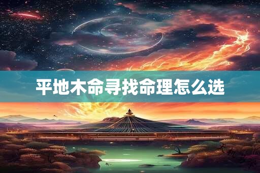 平地木命寻找命理怎么选