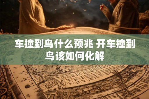 车撞到鸟什么预兆 开车撞到鸟该如何化解
