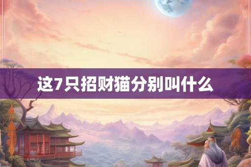 这7只招财猫分别叫什么