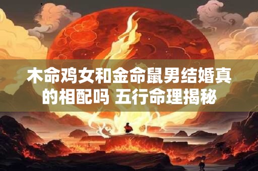 木命鸡女和金命鼠男结婚真的相配吗 五行命理揭秘
