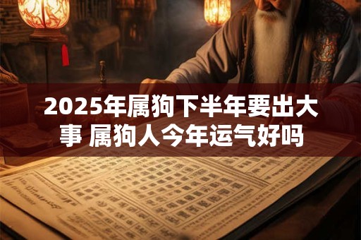 2025年属狗下半年要出大事 属狗人今年运气好吗