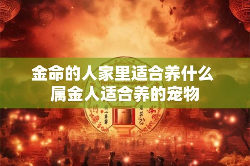 金命的人家里适合养什么 属金人适合养的宠物