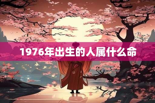 1976年出生的人属什么命