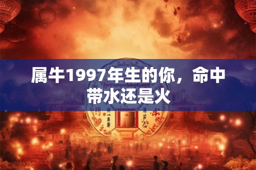 属牛1997年生的你，命中带水还是火