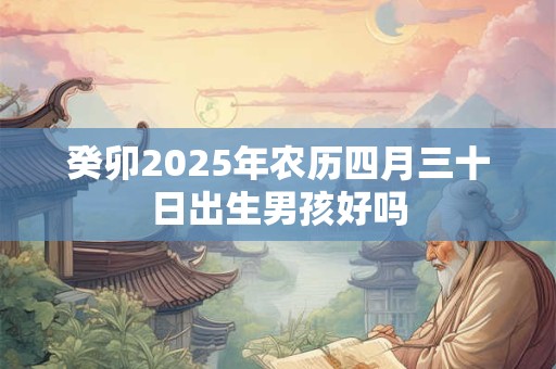 癸卯2025年农历四月三十日出生男孩好吗