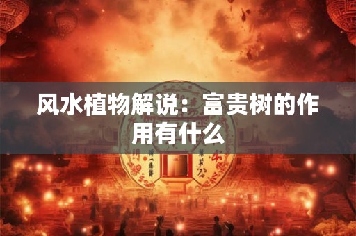 风水植物解说：富贵树的作用有什么