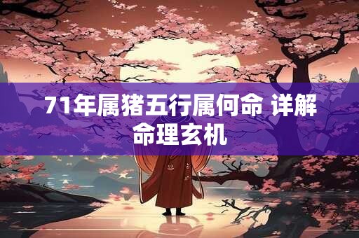 71年属猪五行属何命 详解命理玄机 71年属猪五行属何命 详解命理玄机