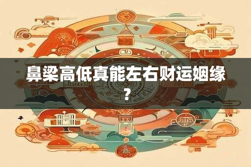 鼻梁高低真能左右财运姻缘? 鼻梁高低真能左右财运姻缘?