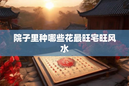院子里种哪些花最旺宅旺风水