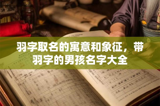 羽字取名的寓意和象征，带羽字的男孩名字大全