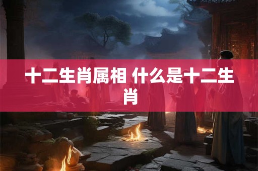 十二生肖属相 什么是十二生肖