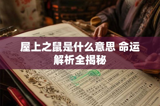 屋上之鼠是什么意思 命运解析全揭秘 屋上之鼠是什么意思 命运解析全揭秘