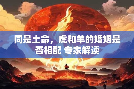 同是土命，虎和羊的婚姻是否相配 专家解读