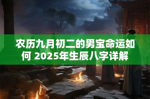 农历九月初二的男宝命运如何 2025年生辰八字详解