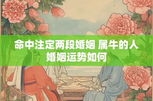 命中注定两段婚姻 属牛的人婚姻运势如何