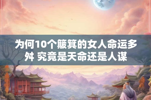 为何10个簸箕的女人命运多舛 究竟是天命还是人谋