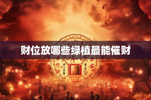 财位放哪些绿植最能催财