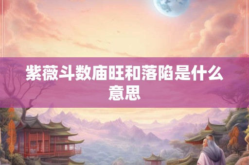 紫薇斗数庙旺和落陷是什么意思