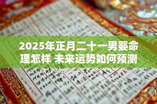 2025年正月二十一男婴命理怎样 未来运势如何预测
