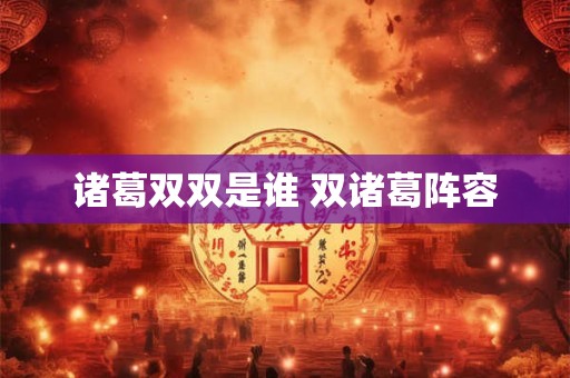 诸葛双双是谁 双诸葛阵容