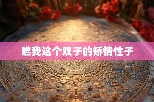 瞧我这个双子的矫情性子