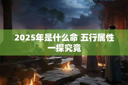 2025年是什么命 五行属性一探究竟