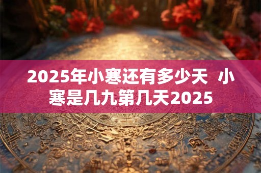 2025年小寒还有多少天  小寒是几九第几天2025