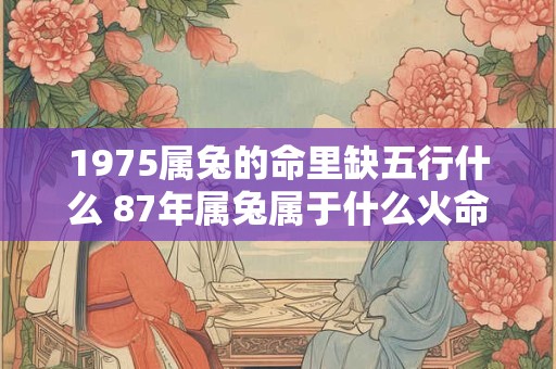 1975属兔的命里缺五行什么 87年属兔属于什么火命