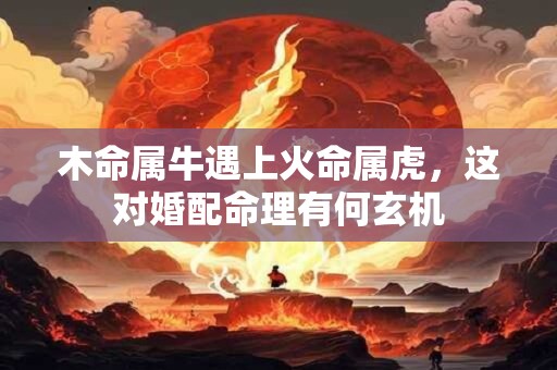 木命属牛遇上火命属虎，这对婚配命理有何玄机