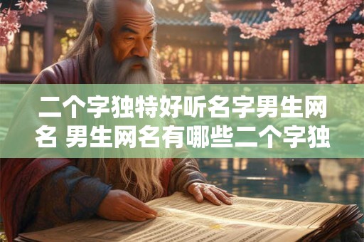 二个字独特好听名字男生网名 男生网名有哪些二个字独特好听的