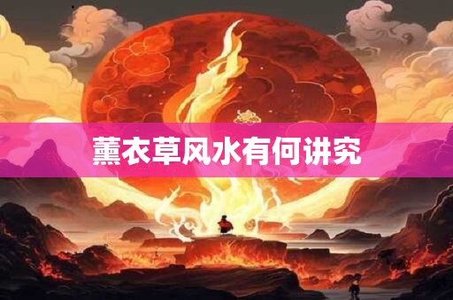 薰衣草风水有何讲究