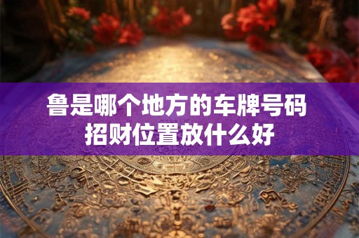 鲁是哪个地方的车牌号码 招财位置放什么好