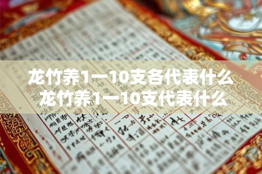 龙竹养1一10支各代表什么 龙竹养1一10支代表什么