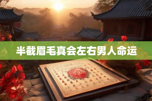 半截眉毛真会左右男人命运