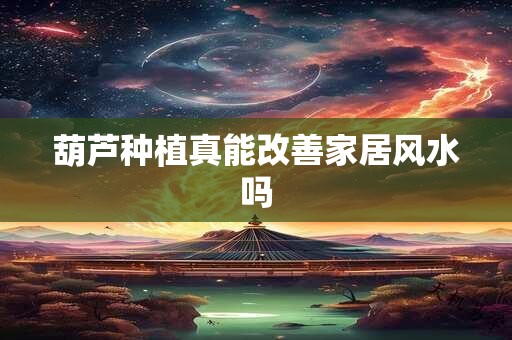 葫芦种植真能改善家居风水吗