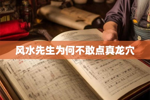 风水先生为何不敢点真龙穴