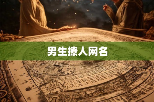 男生撩人网名