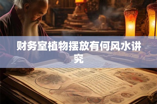 财务室植物摆放有何风水讲究