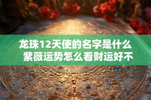 龙珠12天使的名字是什么  紫薇运势怎么看财运好不好呢女人