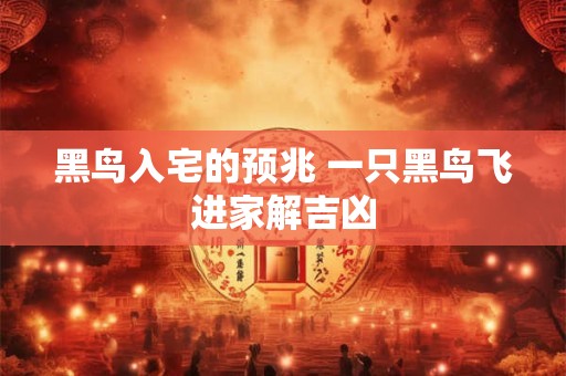 黑鸟入宅的预兆 一只黑鸟飞进家解吉凶