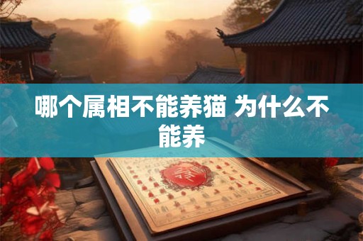 哪个属相不能养猫 为什么不能养