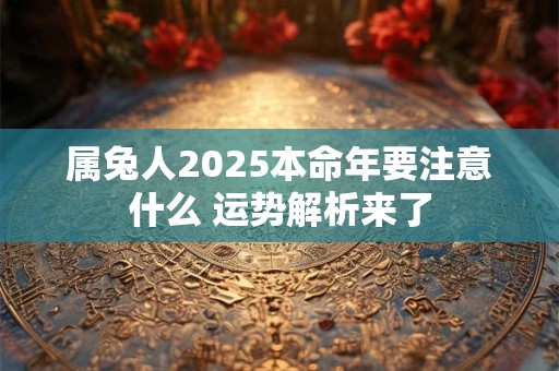 属兔人2025本命年要注意什么 运势解析来了